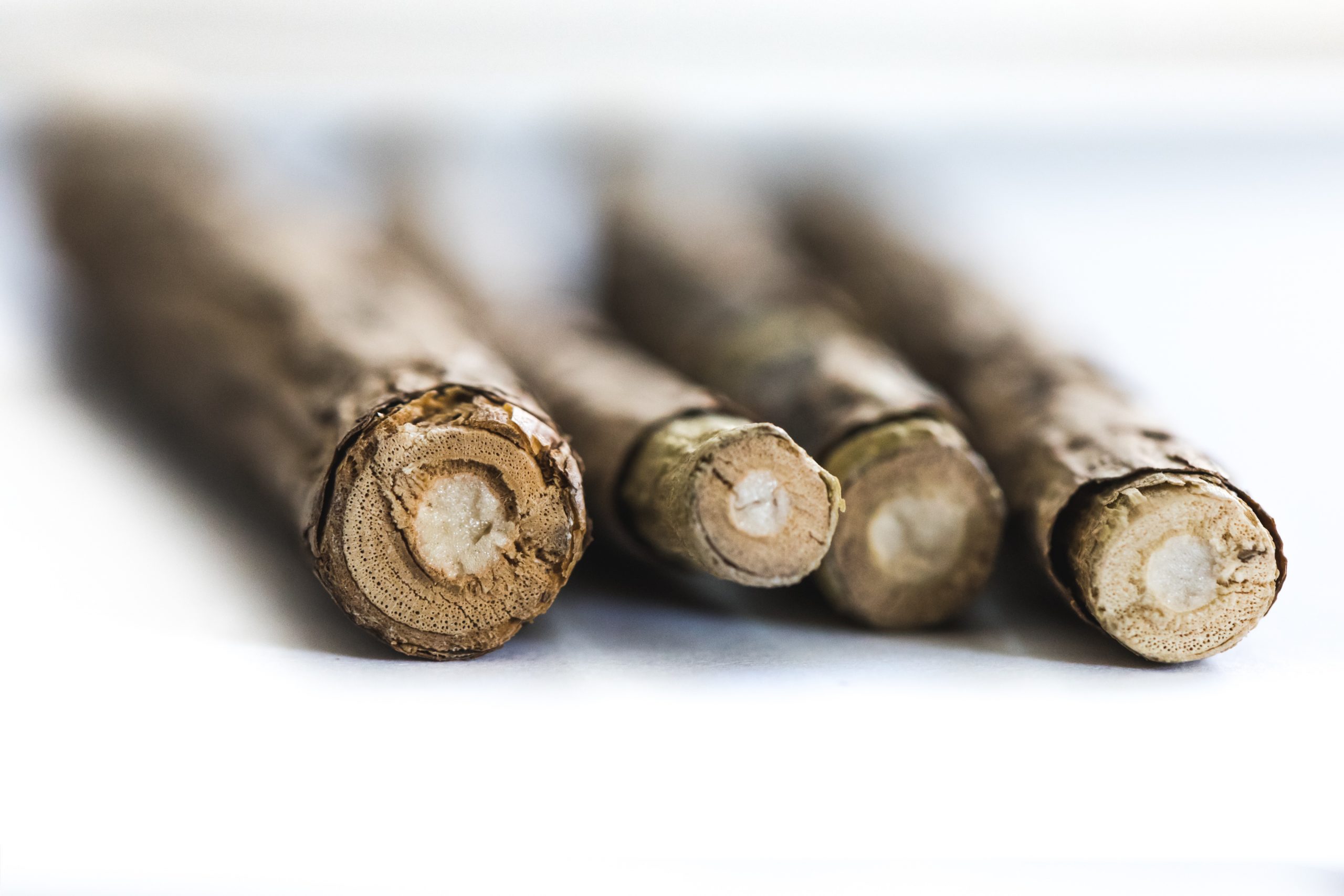 Detail of matatabi sticks for cats