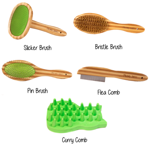 Five different types of cat brushes