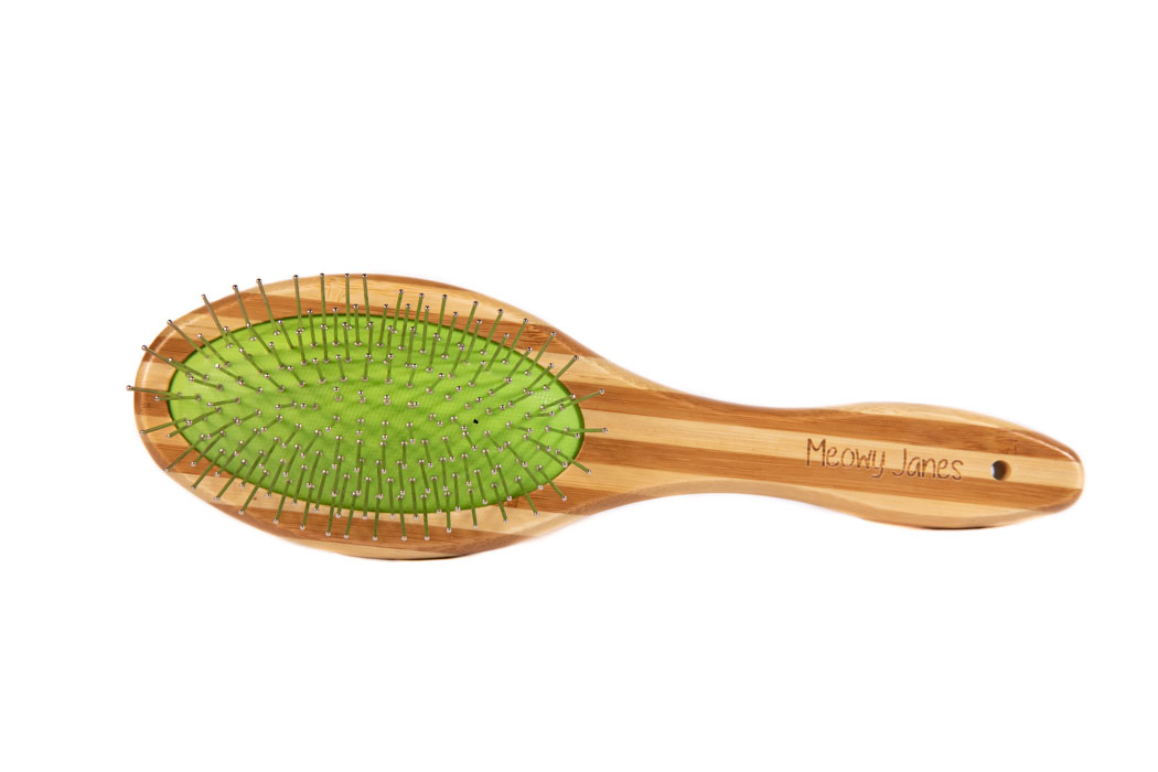 A green pin brush with bamboo handle for cats