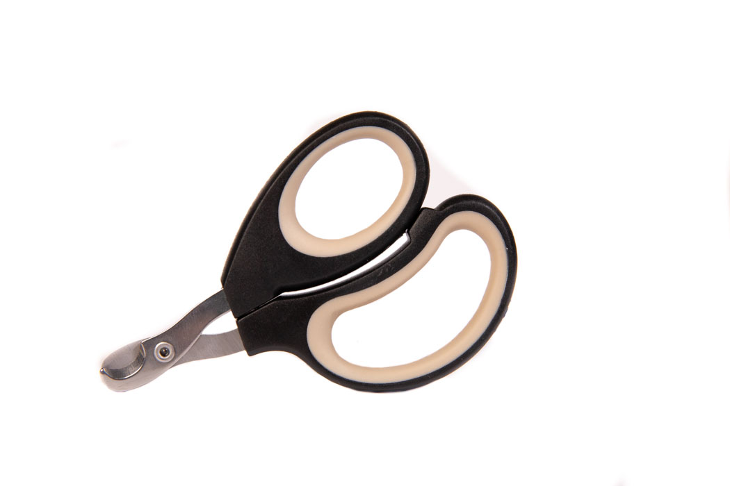 A pair of nail clippers for cats