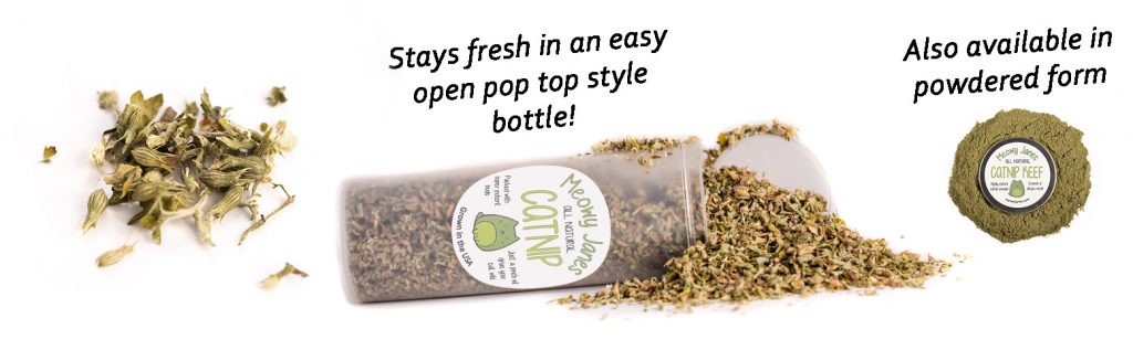 A resealable bottle of catnip with text that says the pop top bottle keeps it fresh. 