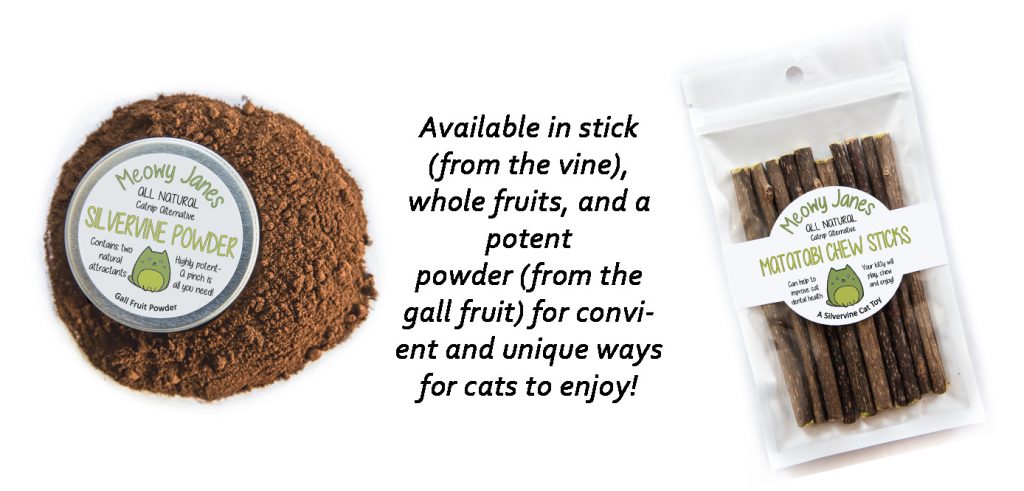 Silvervine powder and matatabi sticks with text that says silvervine is available in multiple forms. 