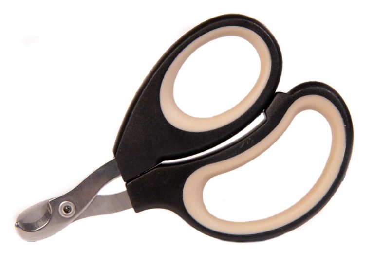 A pair of cat nail clippers