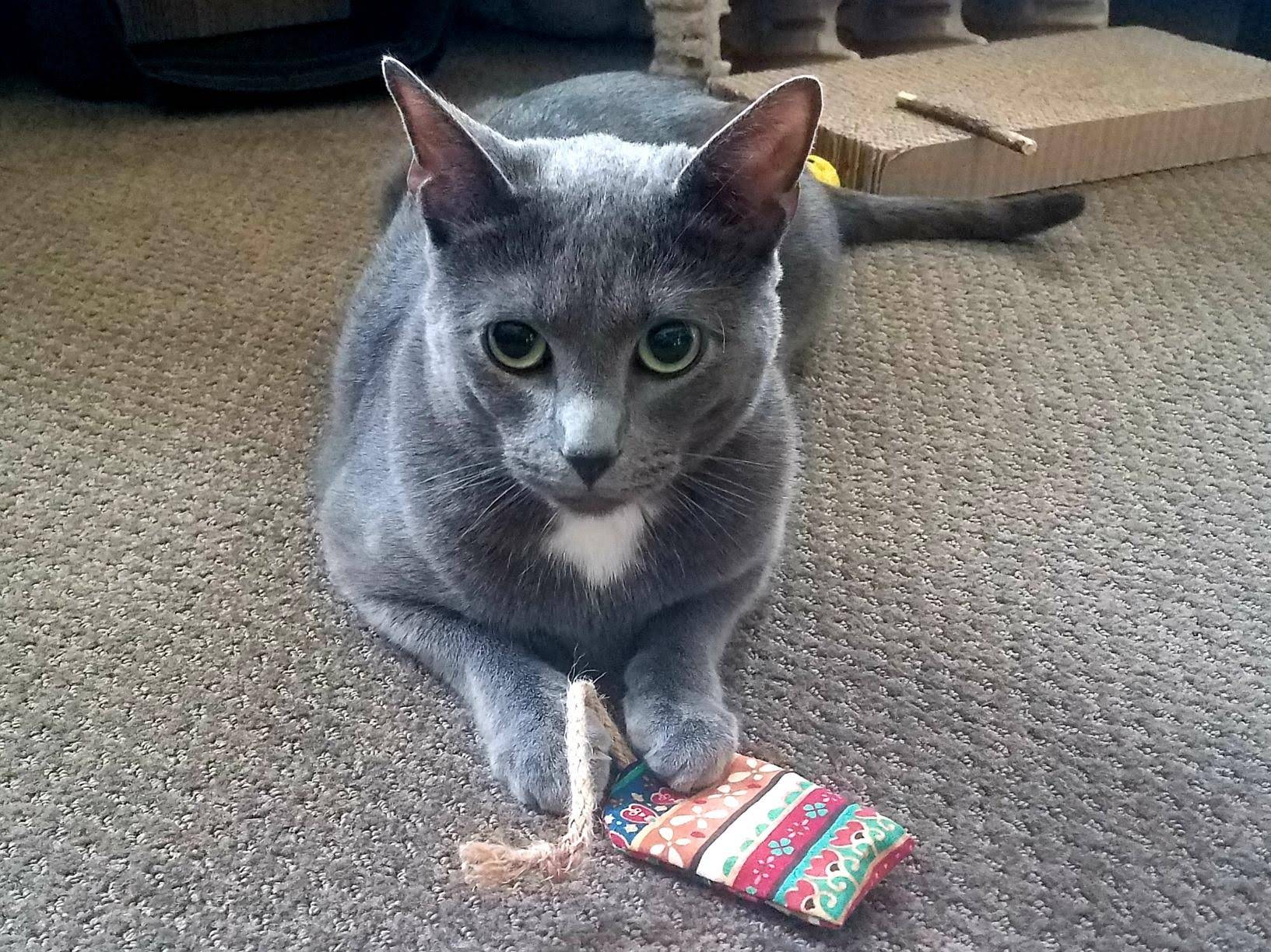 Meowy Janes Refillable Catnip Mouse Toy