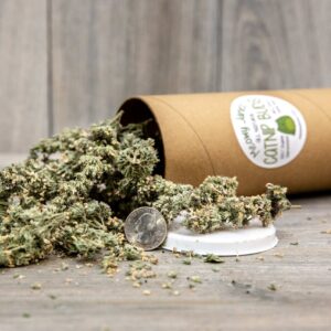 A tube of catnip buds