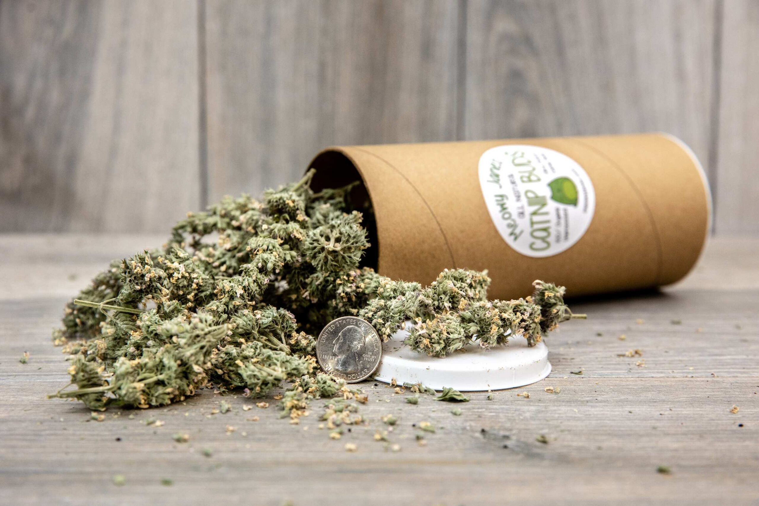 A tube of catnip buds