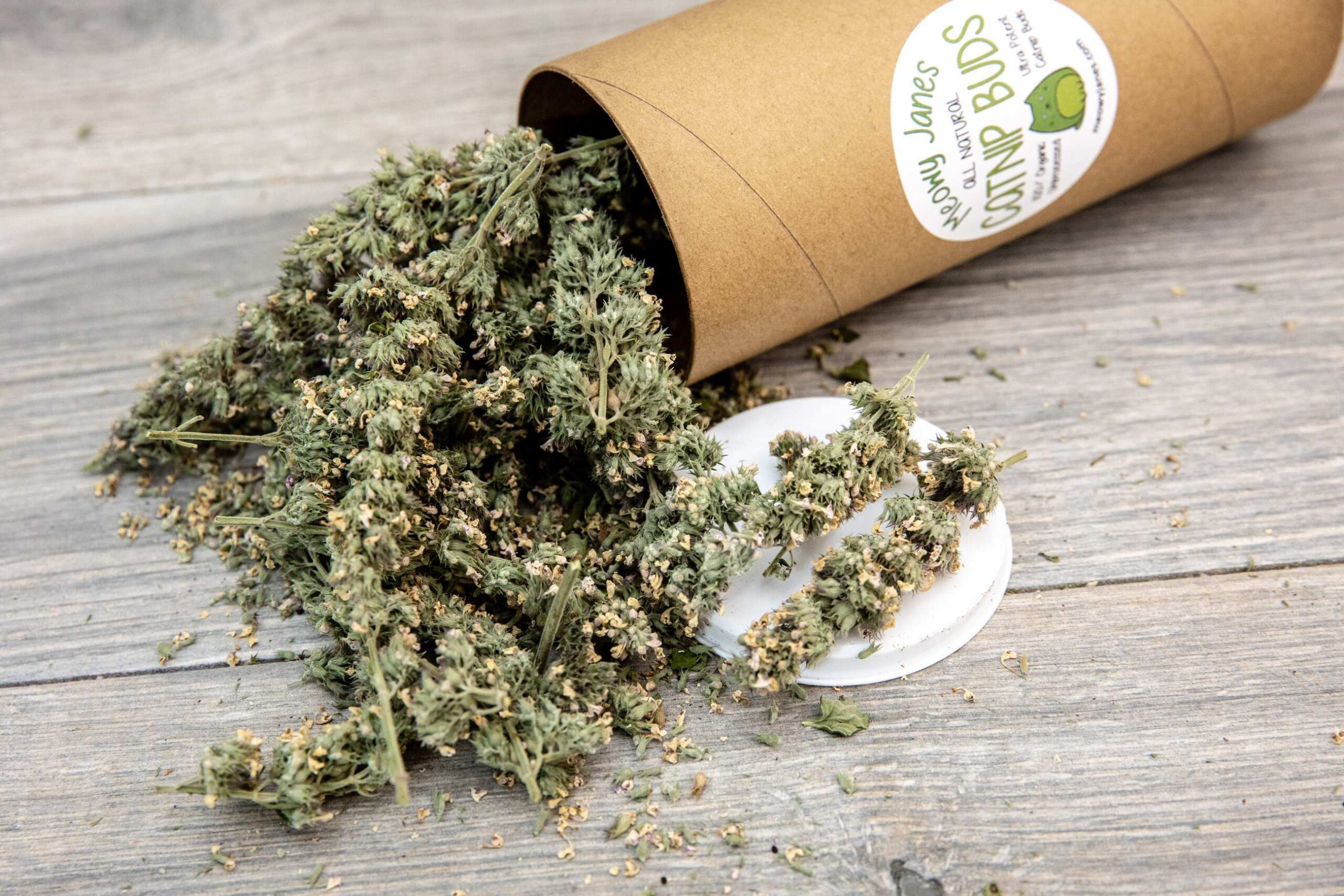 A tube of catnip buds