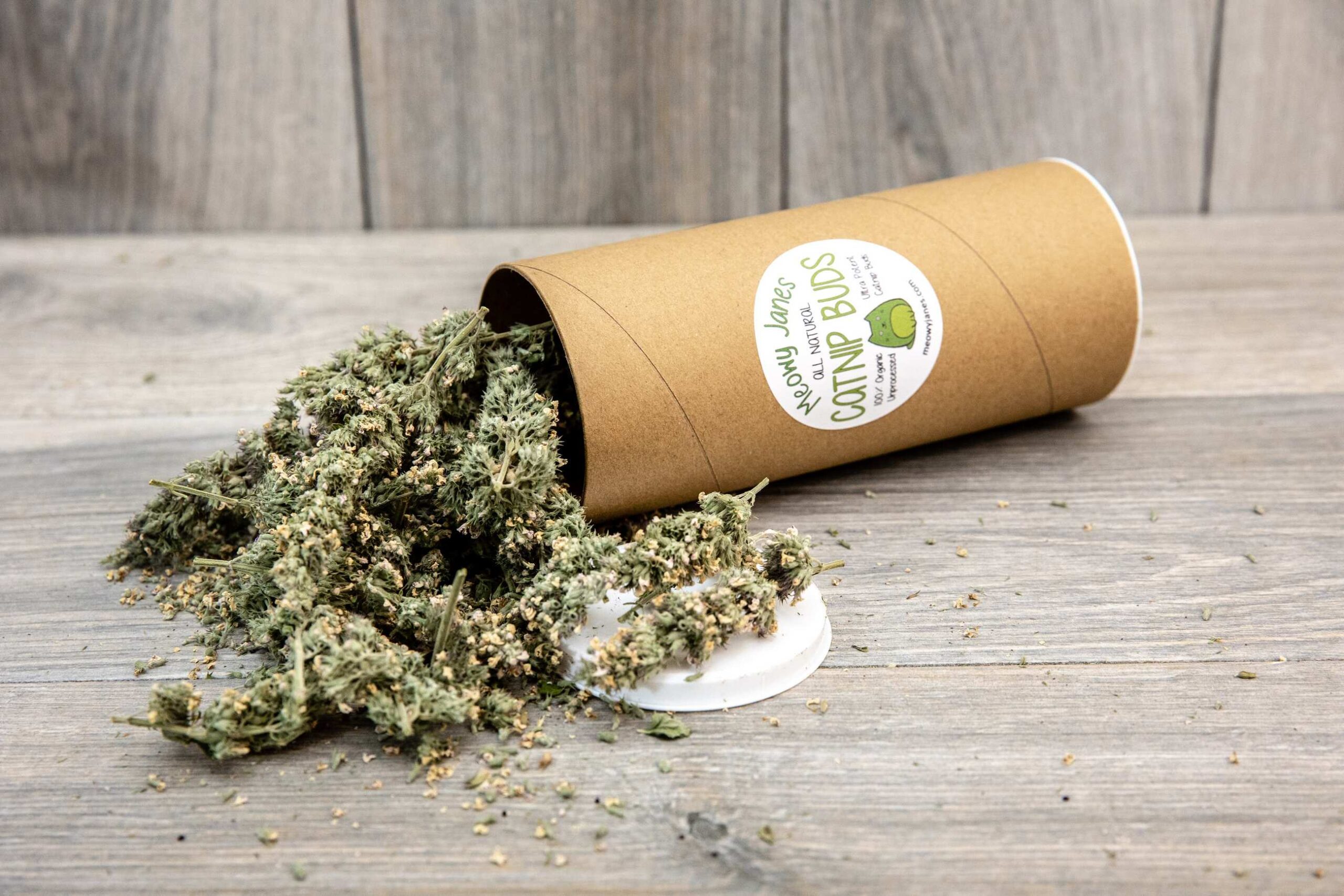 A tube of catnip buds