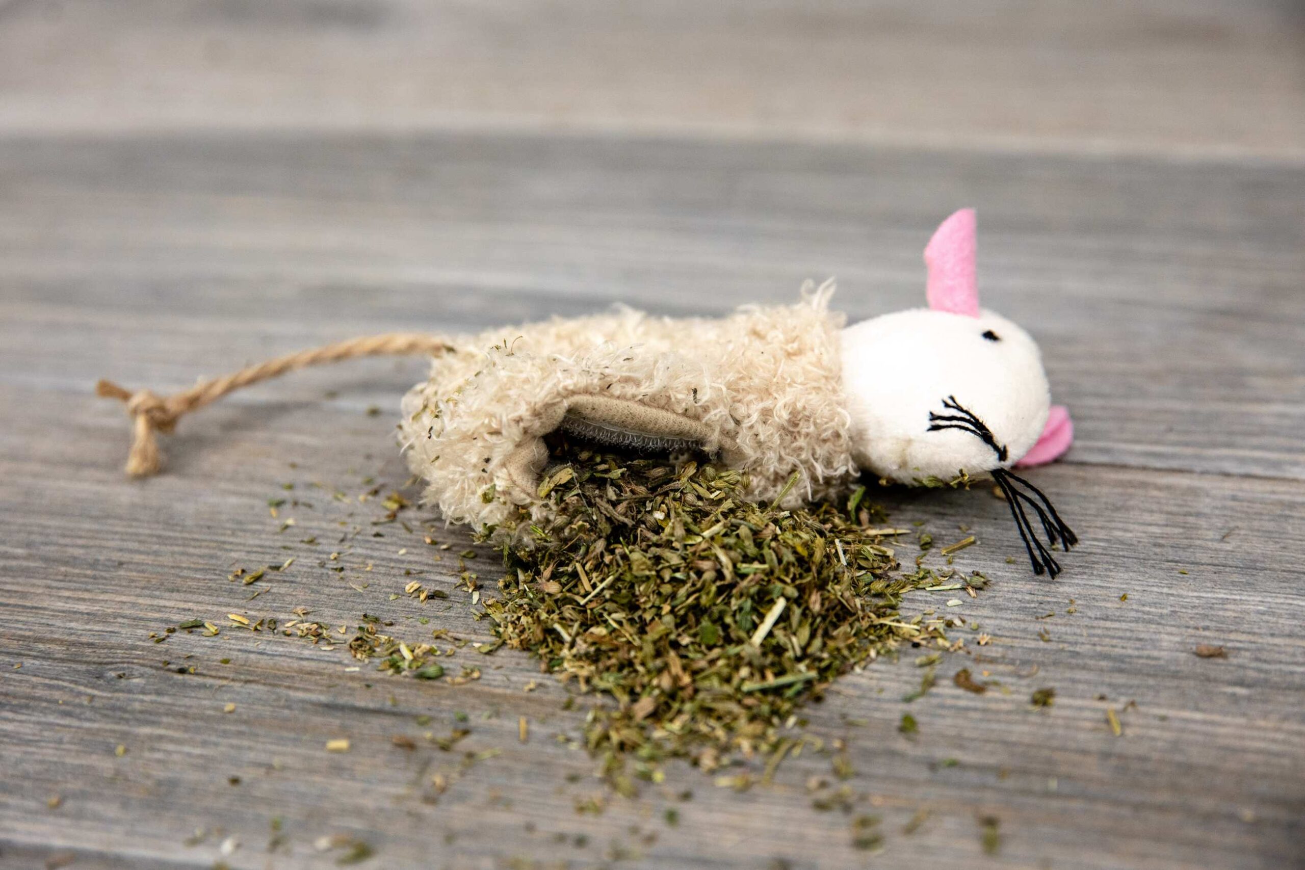 A mouse toy with catnip coming out of its stomach