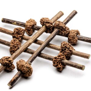 Matatabi chew sticks with whole fruits on the stick for cats