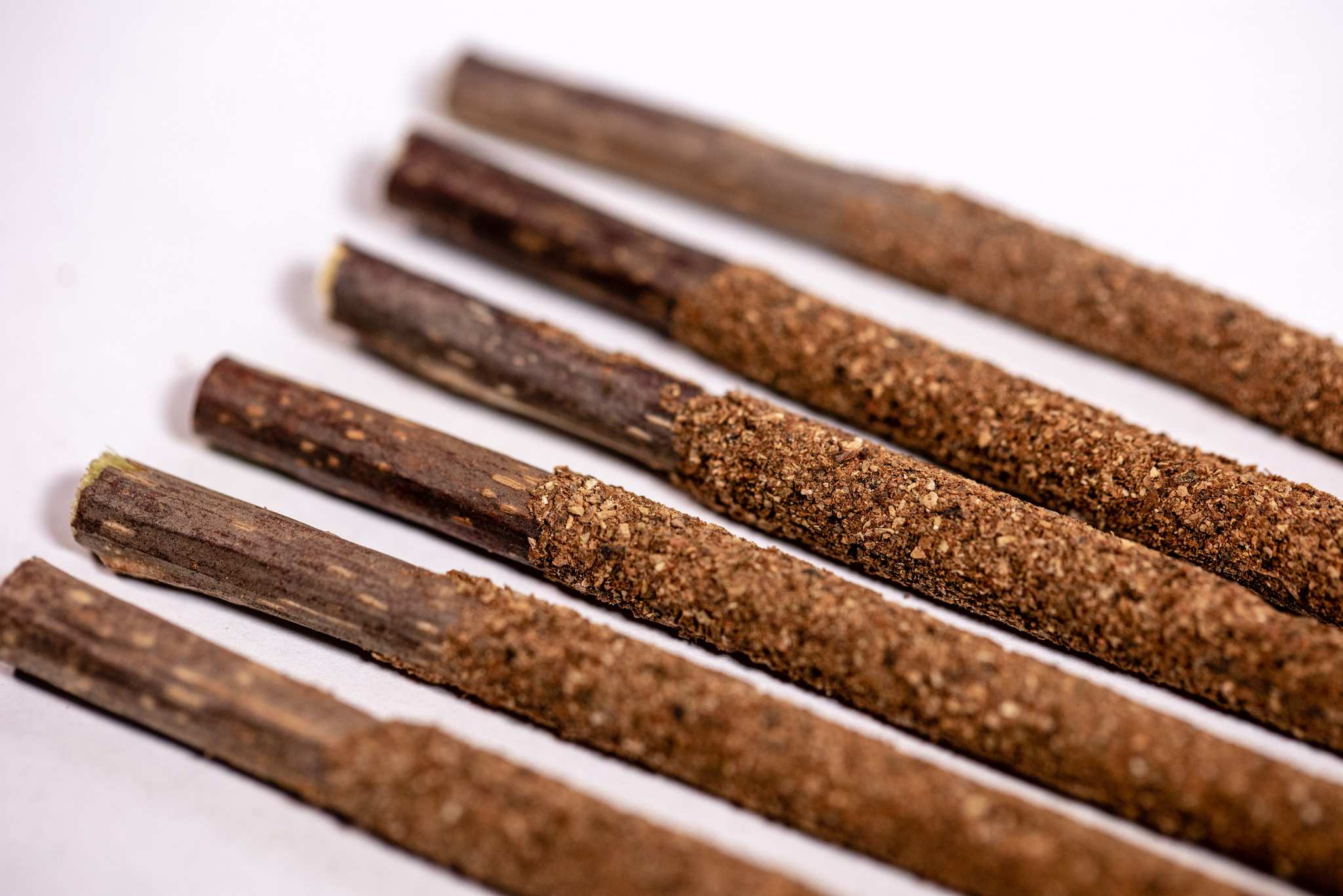 Matatabi chew sticks coated in silvervine powder for cats