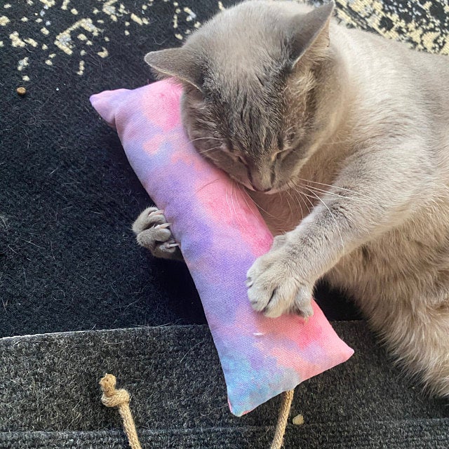 A cat playing with a catnip kicker