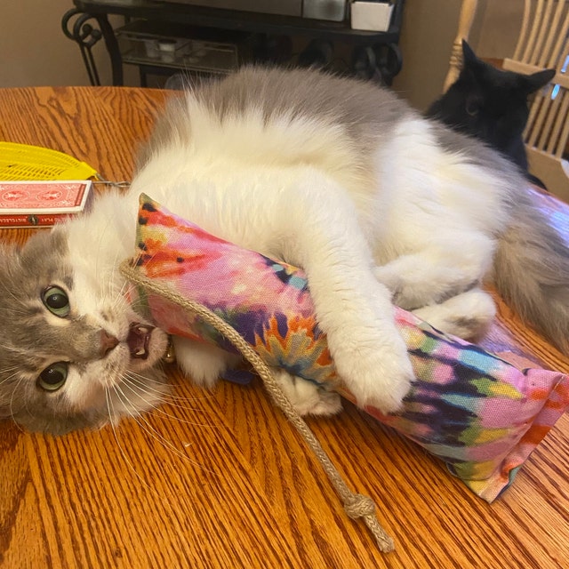 A cat playing with a catnip kicker