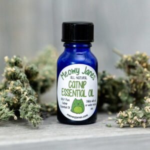 A blue bottle of catnip essential oil near dried catnip