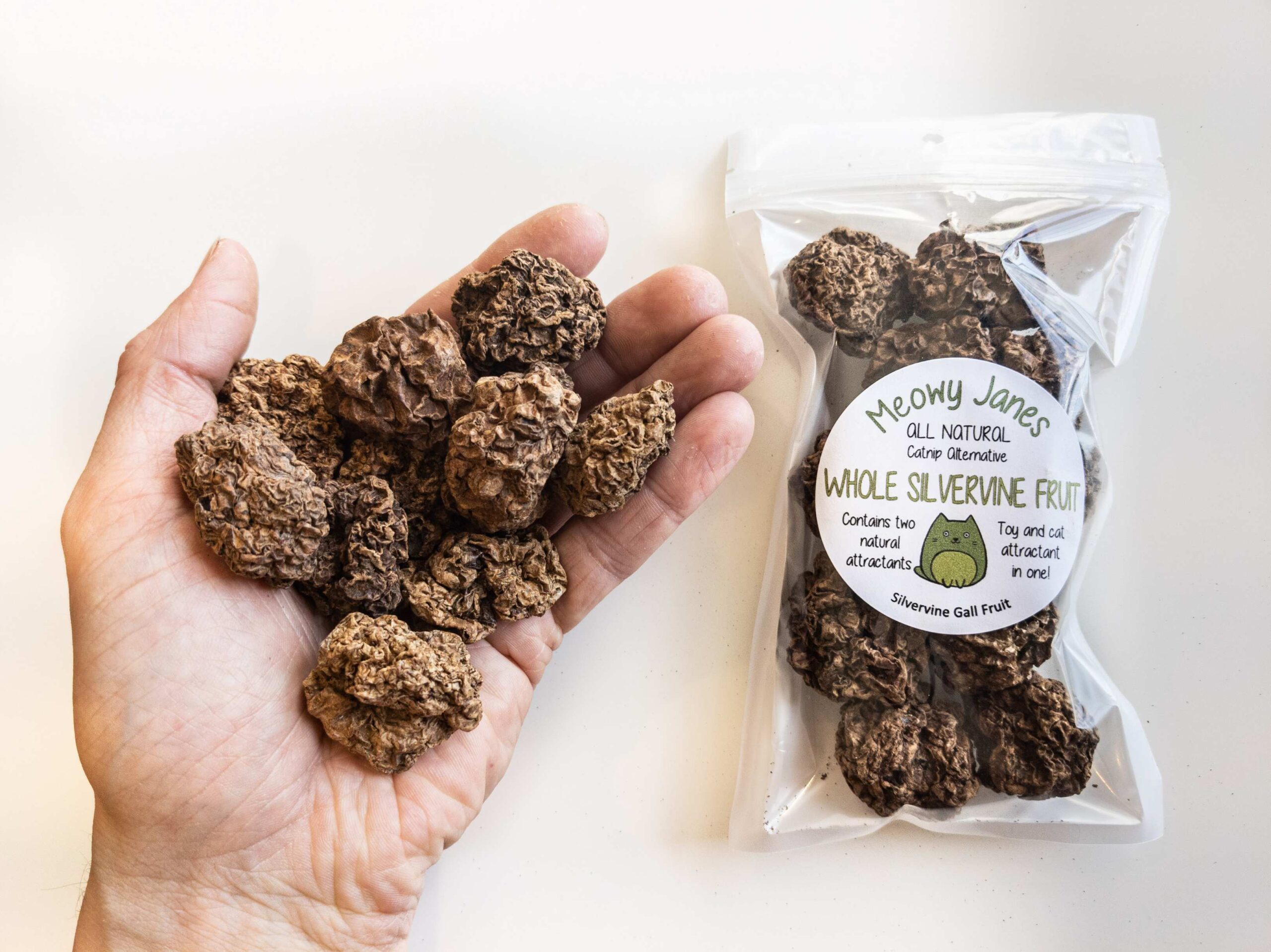 A bag of large silvervine gall fruit with hand holding some gall fruit