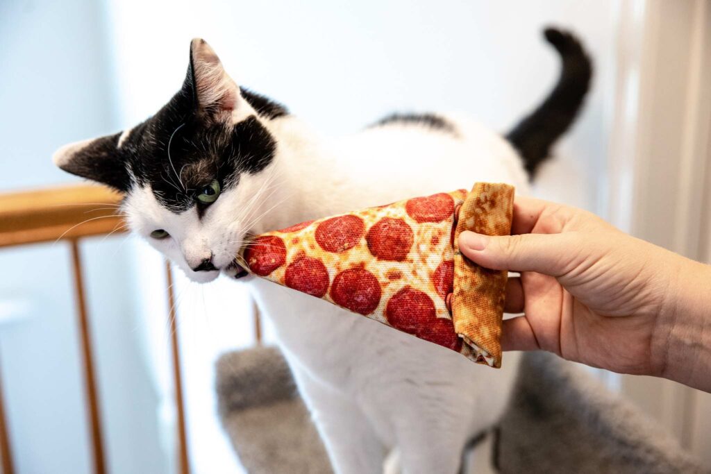 A cat playing with a cat toy sewn from fabric that looks like a realistic pizza slice