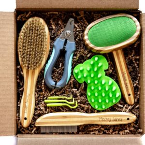 A box containing dog brushes and nail clippers