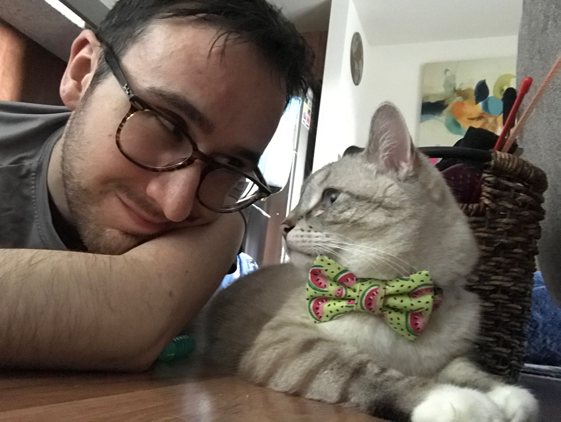 An Interview with Joey Lusvardi of Class Act Cats – a Cat Behaviorist