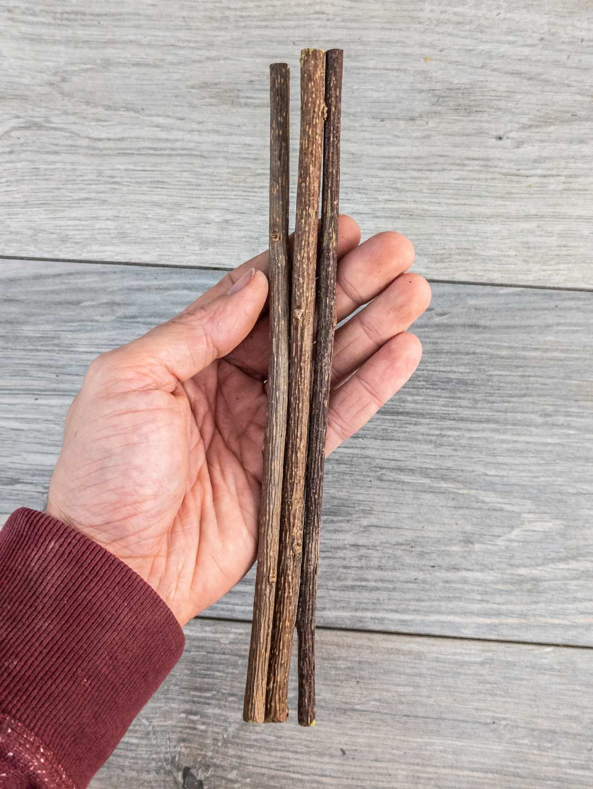 Matatabi chew sticks that larger longer than the typical length for cats