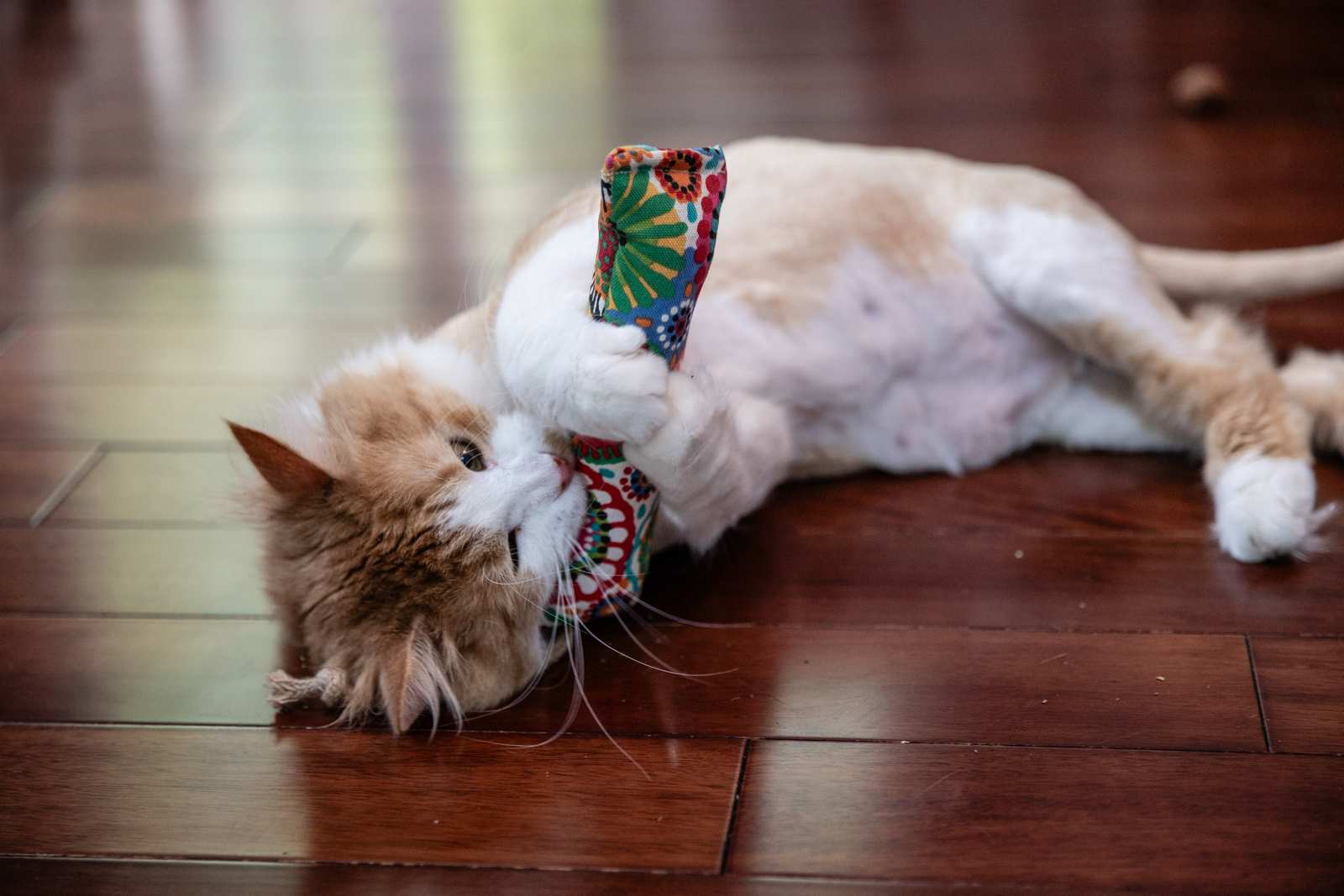 Two Pack | 8 Inch Crinkle Cat Kickers - Image 11