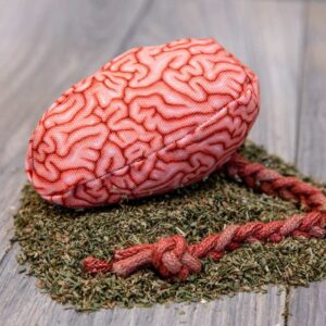 A fabric brain made of a realistic green fabric stuffed with catnip