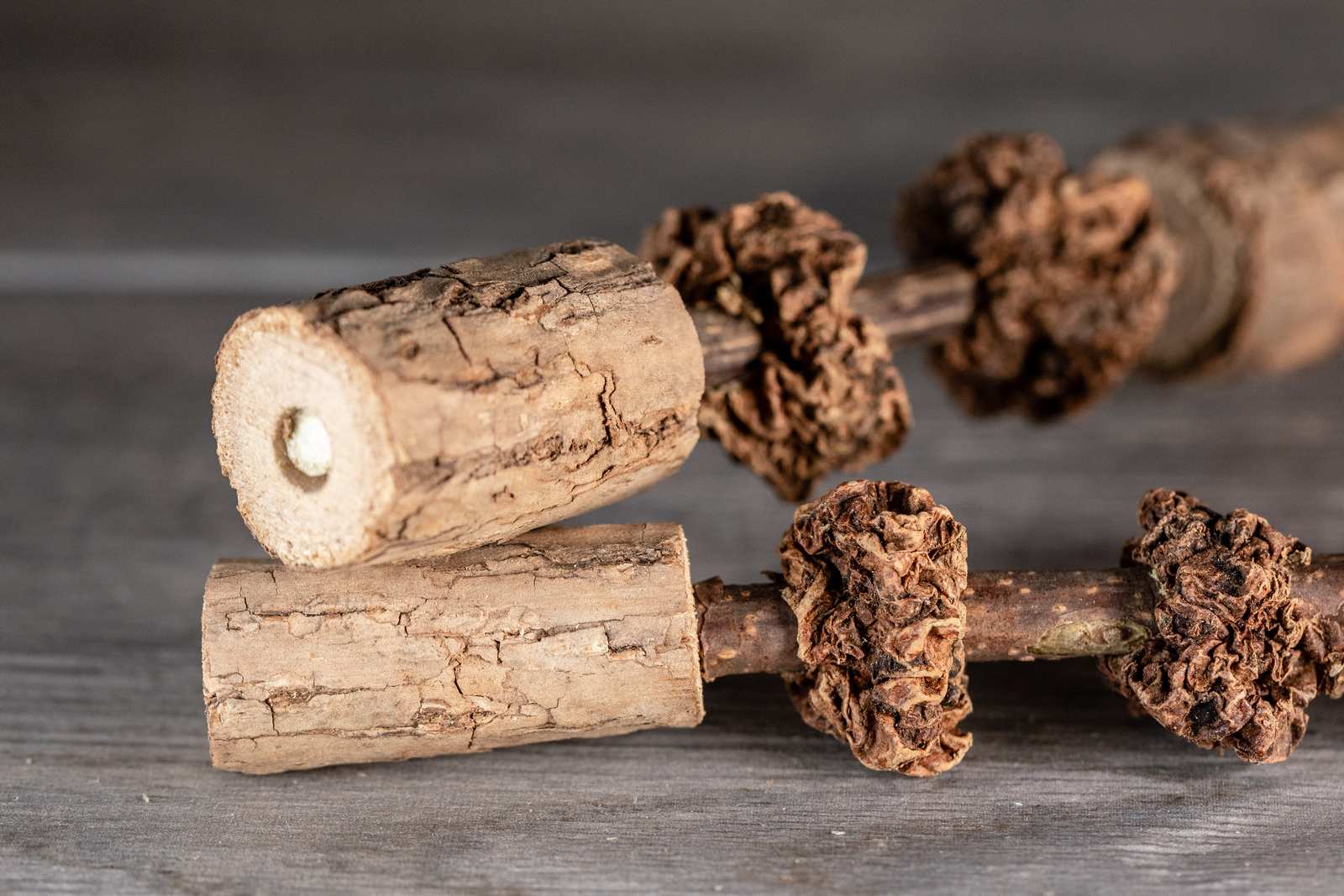 Matatabi sticks with gall fruit threaded onto the stick and larger diameter sticks as the end caps