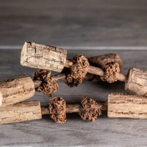 Matatabi sticks with gall fruit threaded onto the stick and larger diameter sticks as the end caps