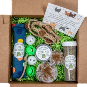 A gift box with a card and various cat toys and crinkle paper
