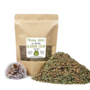 A resealable bag of catnip silvervine blend and a faux fur ball toy