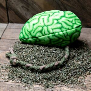 A fabric brain made of a realistic green fabric stuffed with catnip