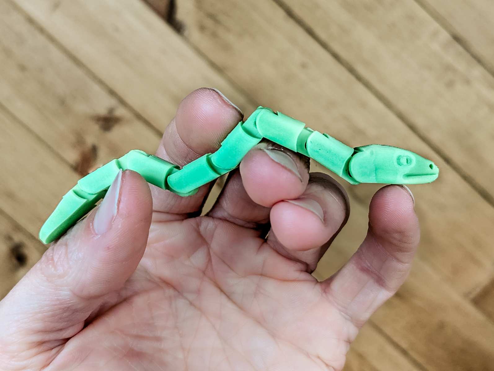 A hand holding a green articulated snake toy for cats.