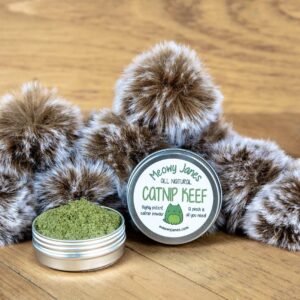 A tin of catnip powder with fuzzy pom pom toys