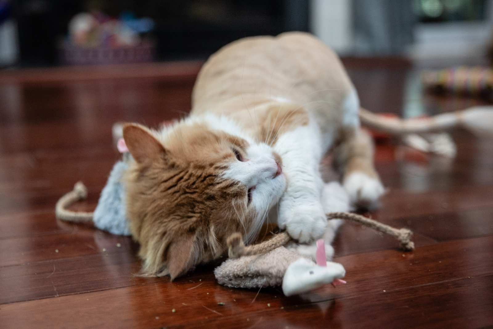 Three Pack - Refillable Fuzzy Mice 2.0 - Image 6