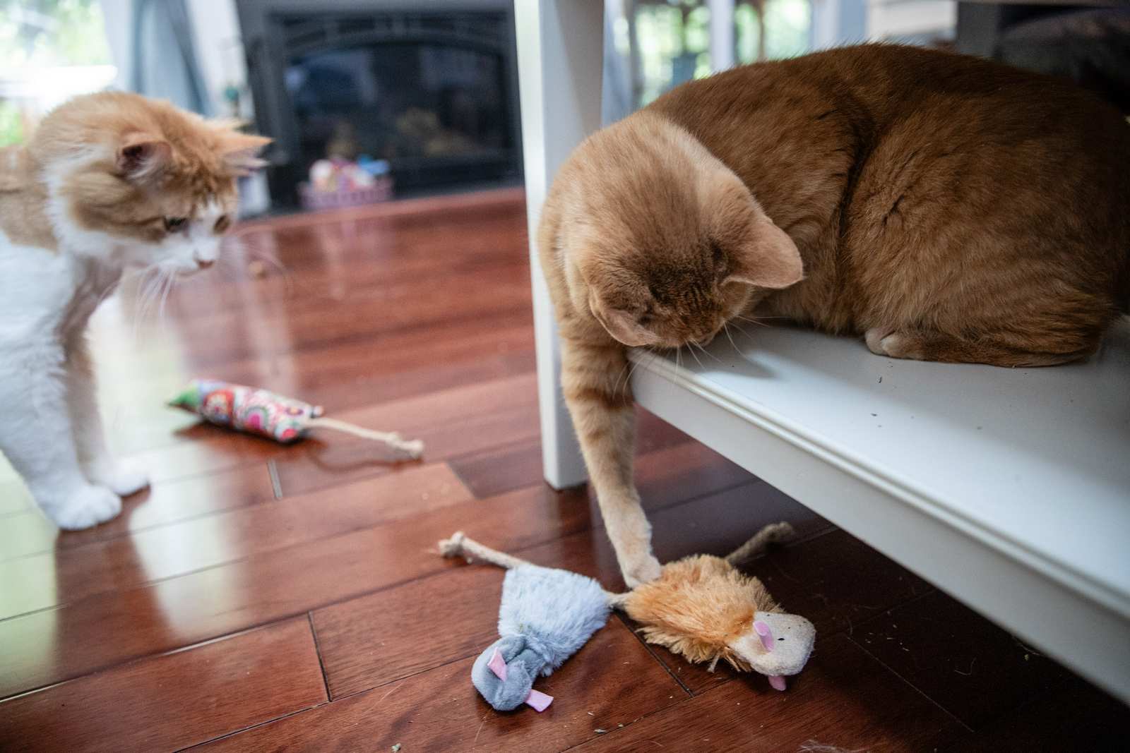 Three Pack - Refillable Fuzzy Mice 2.0 - Image 9