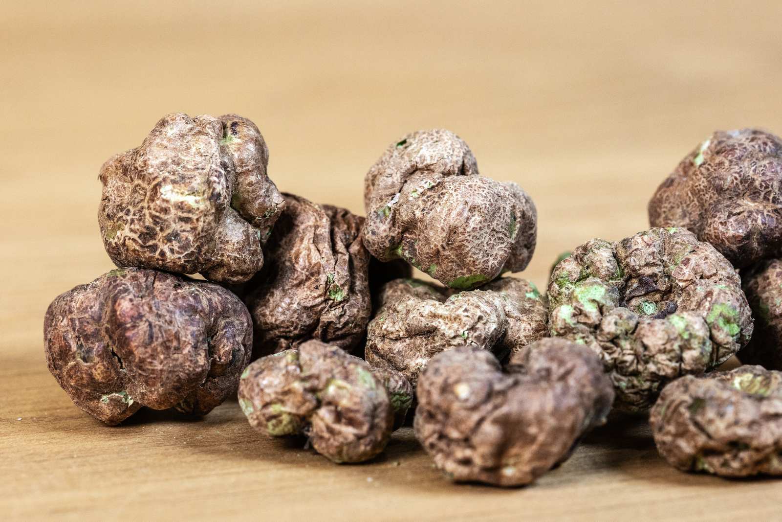 Freeze dried silvervine gall fruits