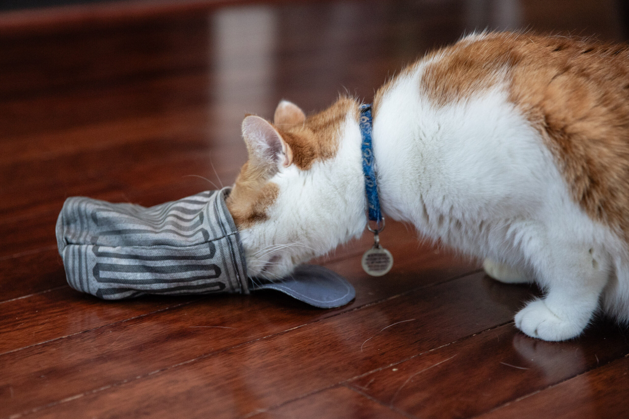 Trash Can with Raccoon Tail Toy - Image 4