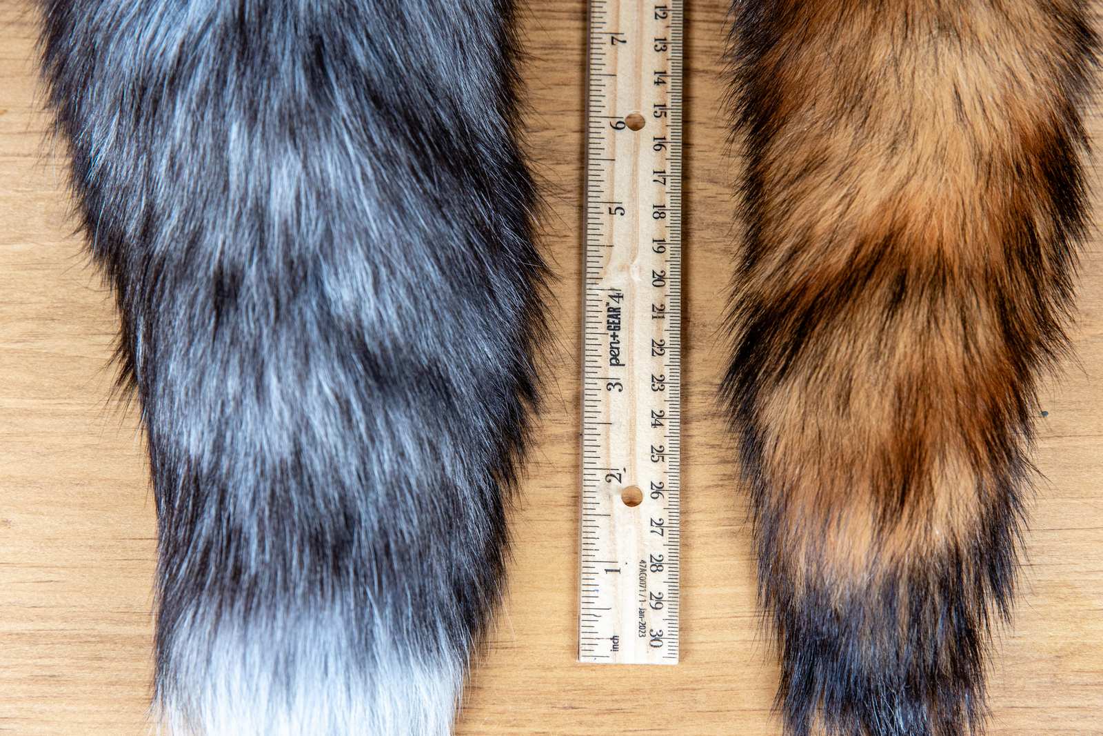 A ruler showing the size of the fox tail cat toys
