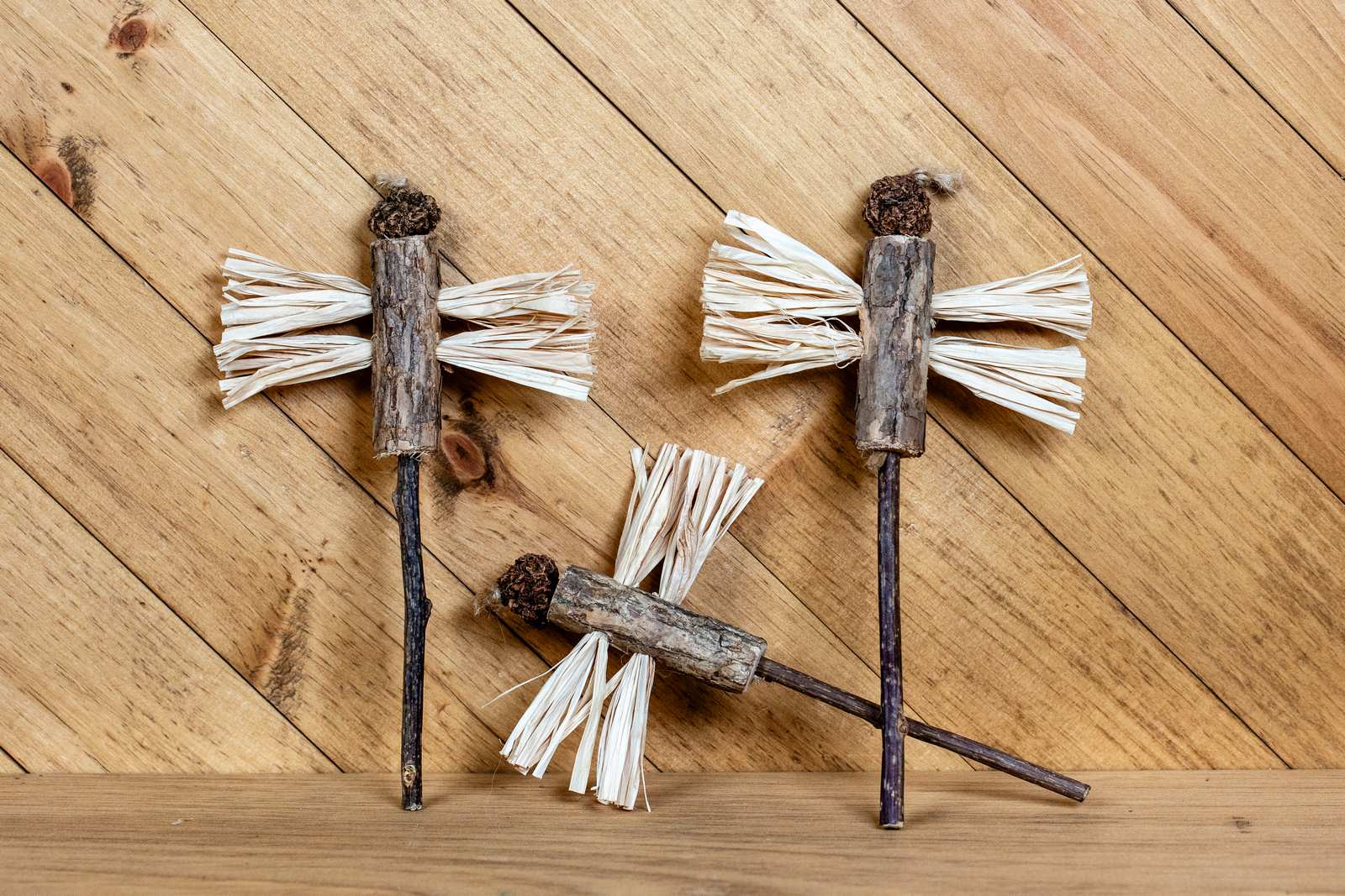 Matatabi sticks, a silvervine fruit, and plant material combined to looked like a dragon fly
