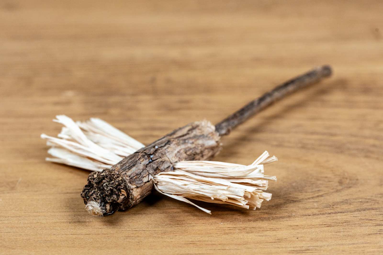 A dragon fly cat toy made out of the matatabi plant.