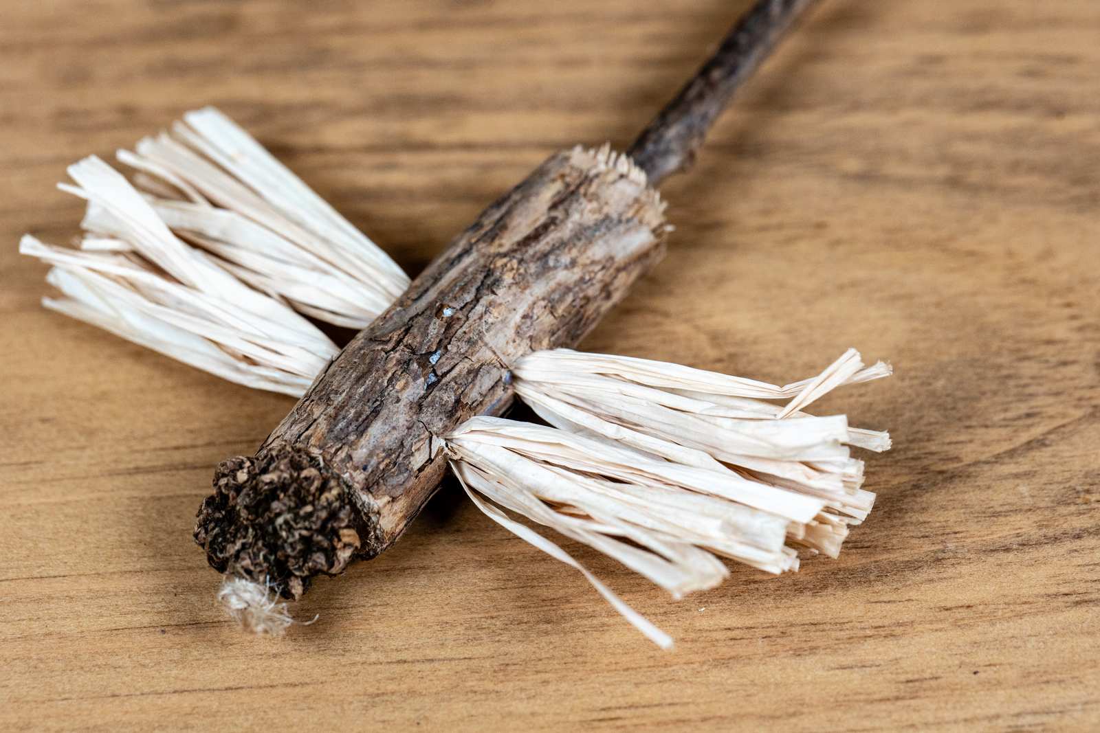 Close up of a dragon fly cat toy made out of the matatabi plant.