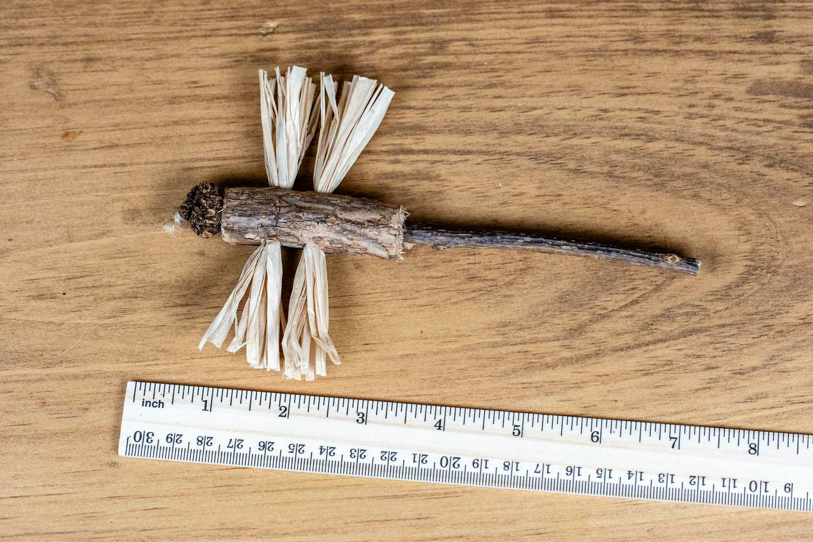 Showing the size of the dragon fly cat toy with a ruler