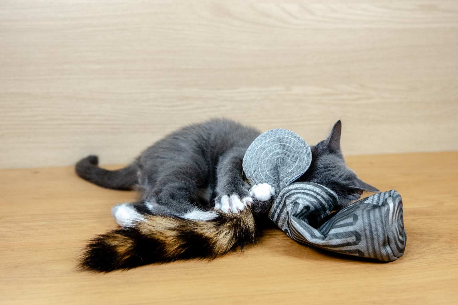 A cat playing with a garbage can cat toy with a raccoon tail sticking out from it.