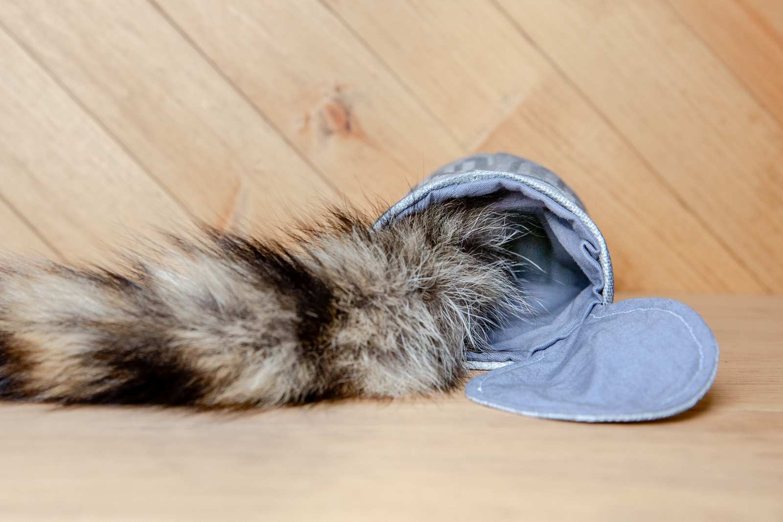 The inside of a fabric garbage can cat toy with a raccoon tail sticking out from it.