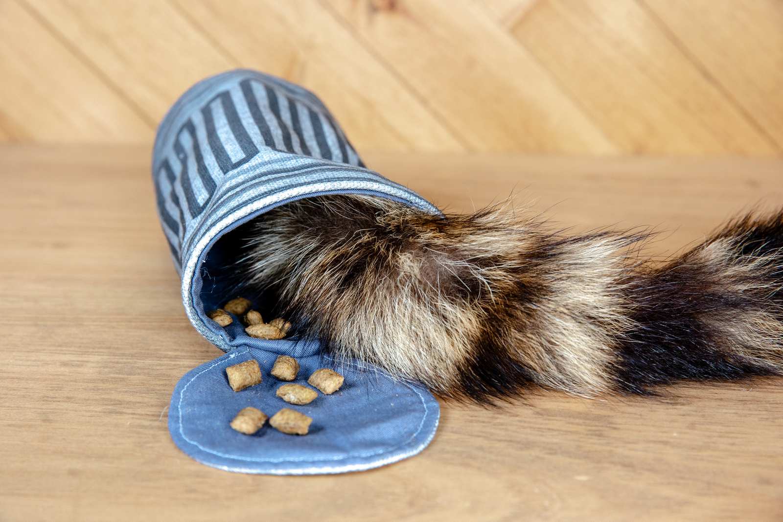 The inside of a fabric garbage can cat toy with a raccoon tail and cat treats inside of it