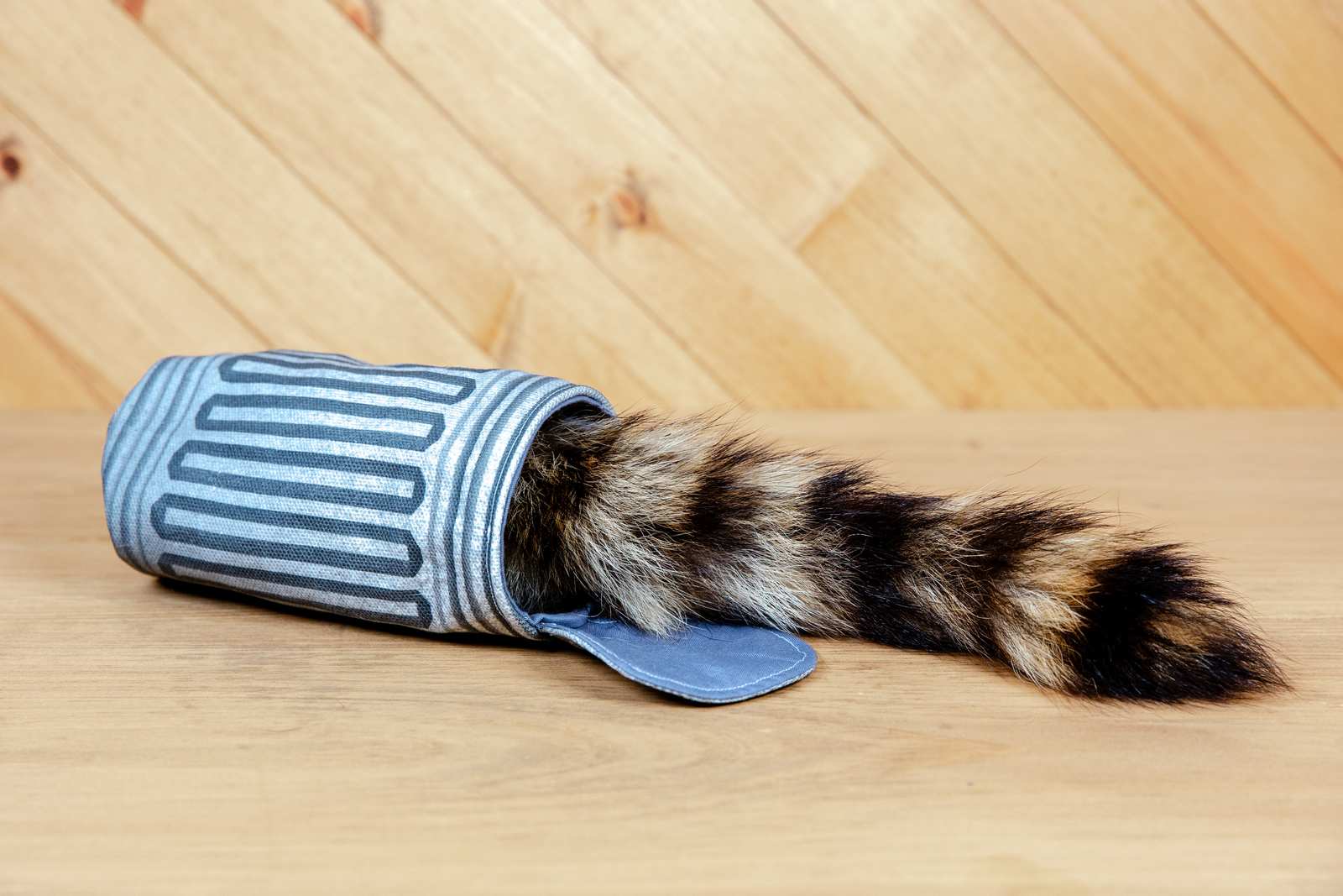 A fabric garbage can cat toy with a raccoon tail sticking out from it.