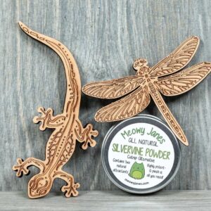 A leather gecko and dragonfly next to a tin of silvervine powder