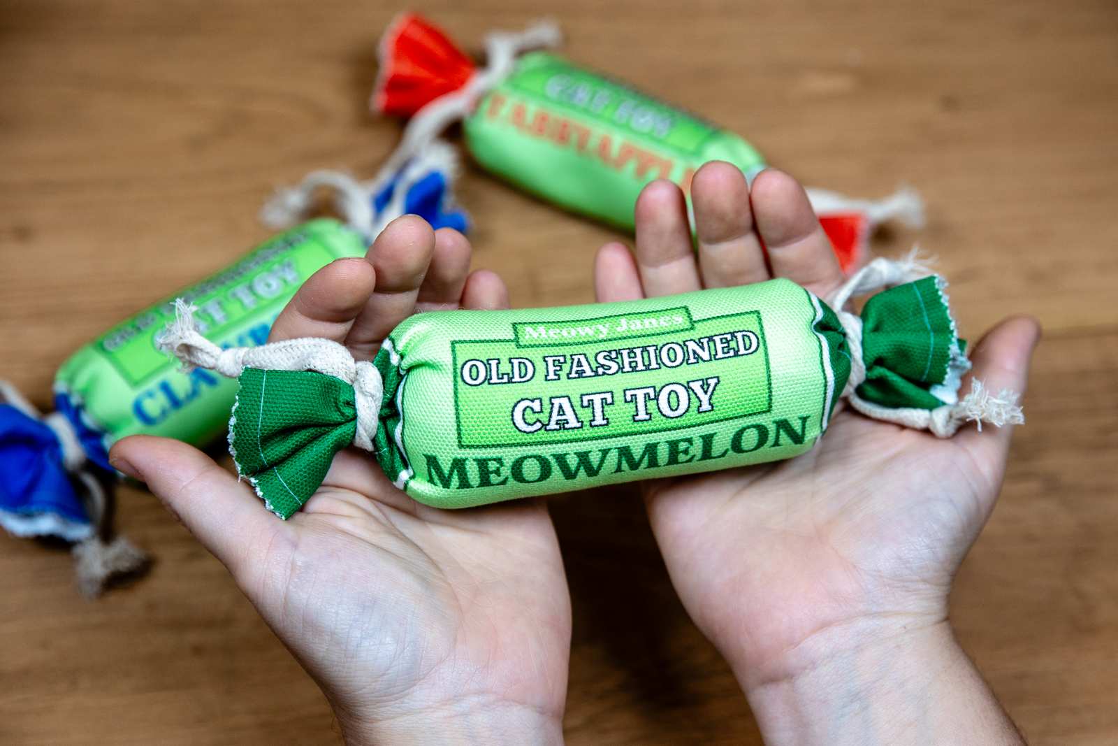 A persons hands holding a penny candy cat toy