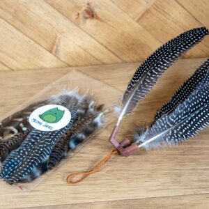 A bag of bird feathers and a small plastic cat toy with feathers stuck into it