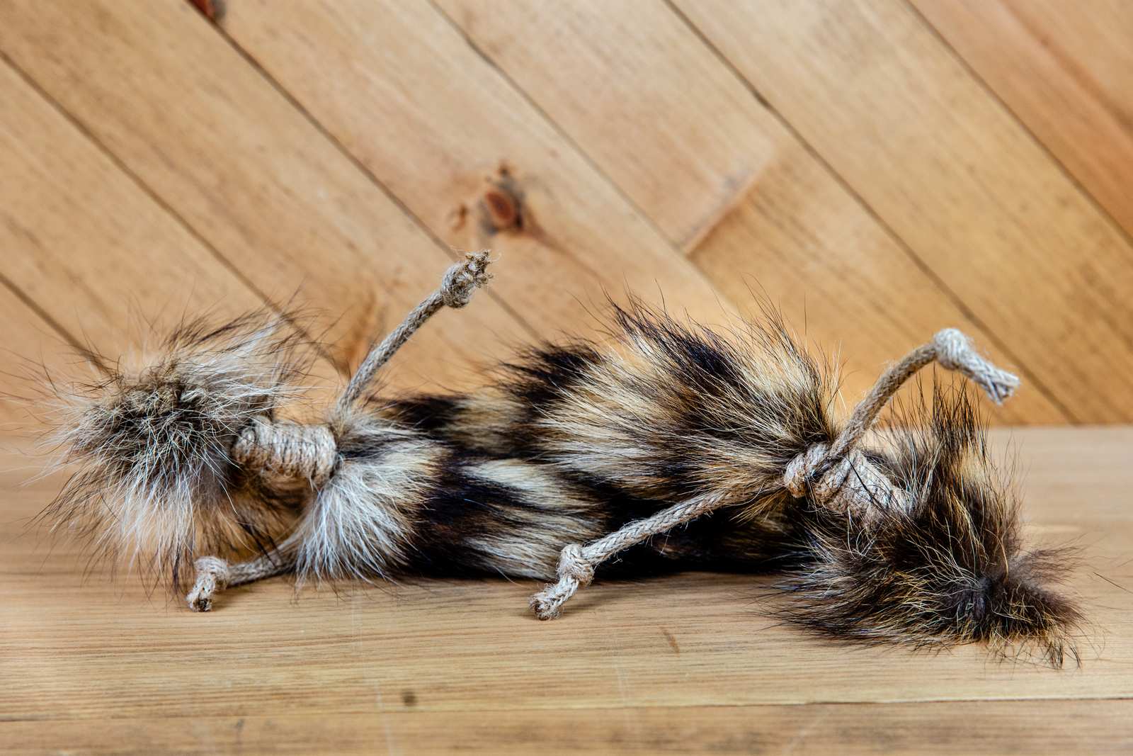 Two raccoon tails with jute rope tied around them.
