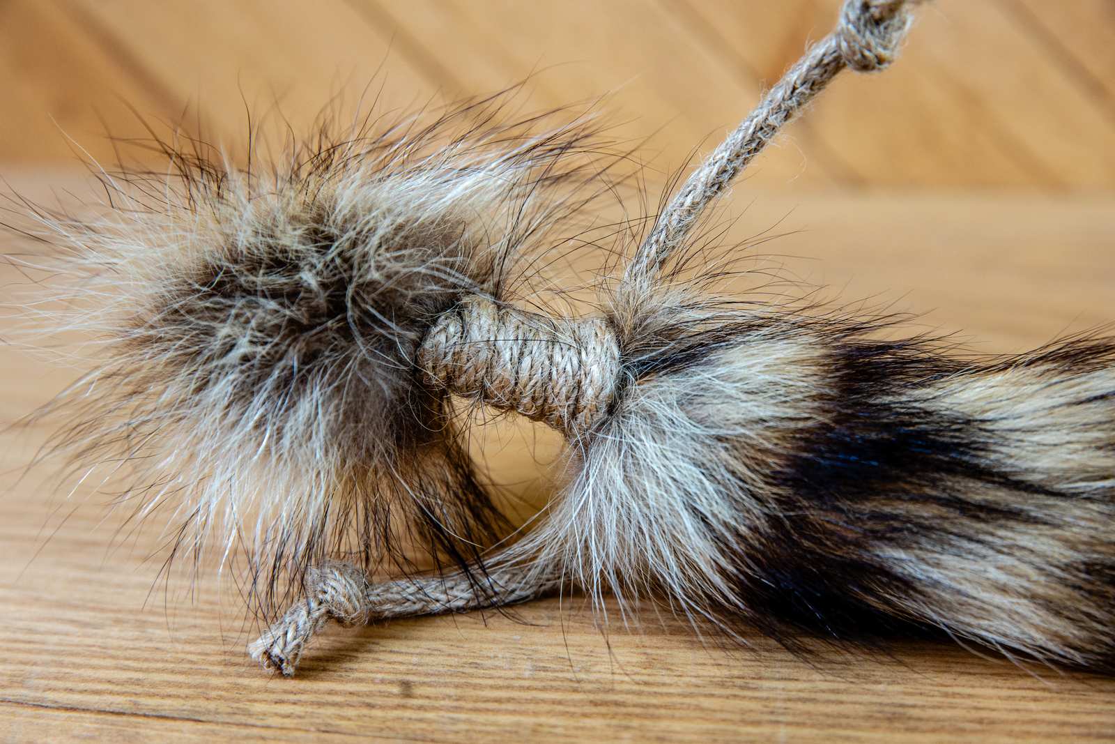 A close up raccoon tail with jute rope tied around them.